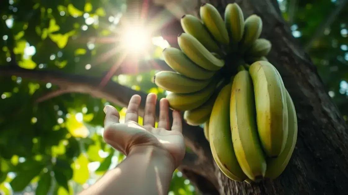 Significado emocional de bananas verdes Significado emocional de bananas verdes