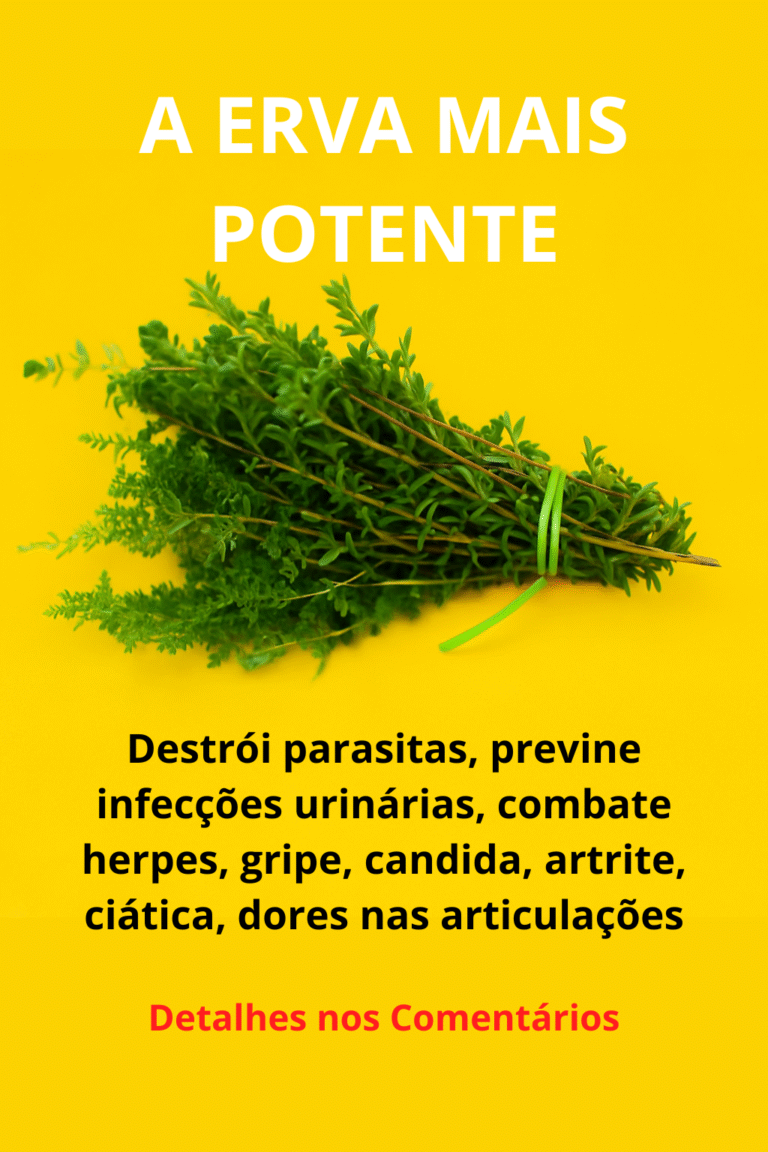 Chá de alecrim noturno: receita natural para aliviar dores, fortalecer a imunidade e relaxar