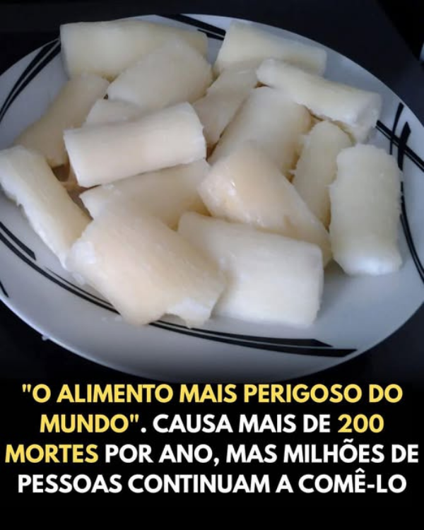 Mandioca Venenosa: Conheça o Tipo que Pode Causar Intoxicação Grave se Consumido Cru