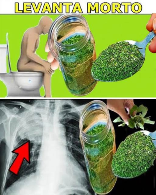 Faz sair doença até pelo xixi – NAO ACREDITEI QUANDO IDOSA DE 98 ANOS ME ENSINOU…