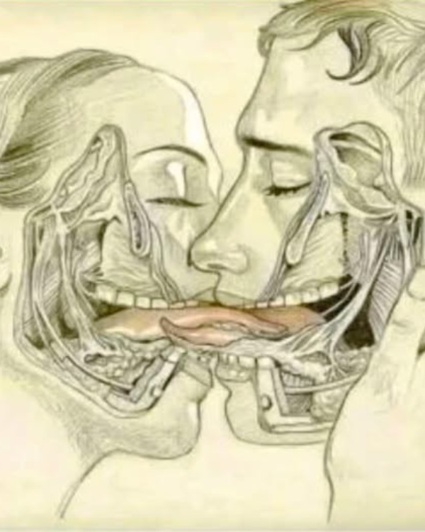O que acontece no corpo (e na alma) quando a gente se beija?